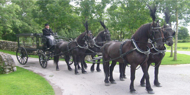 Horse drawn hearse.jpg